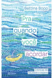 Crónica: Se eu podesse votar no Brasil