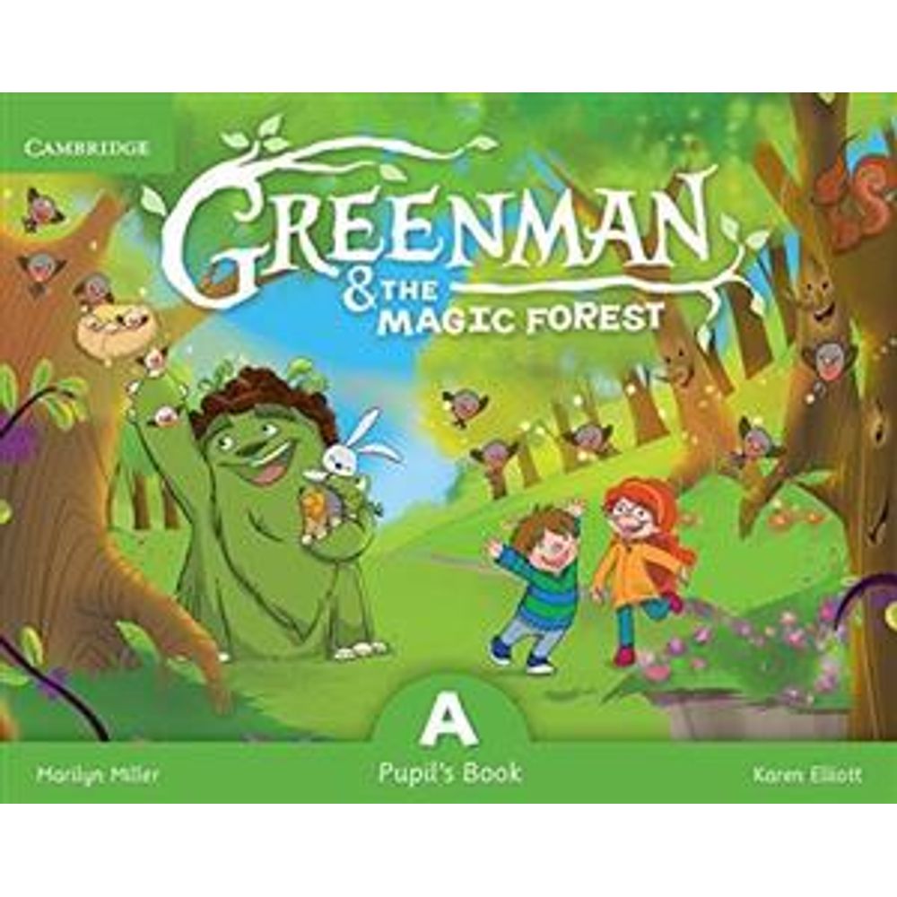 greenman and the magic forest b pupil's book