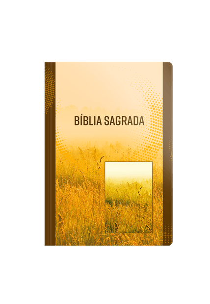 Bíblia Nvi - Letra Grande - Brochura - Neutra
