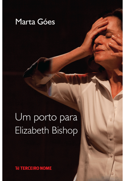 Um Porto para Elizabeth Bishop