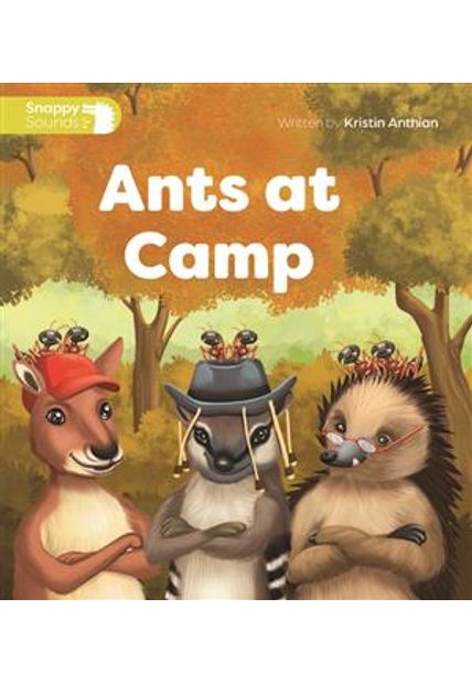 Ants At Camp