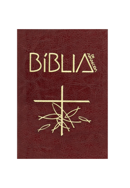 Biblia de Aparecida Letra Grande Marrom