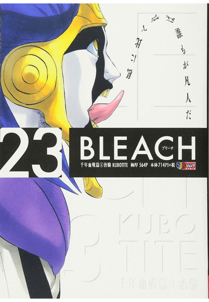 Bleach Remix Vol. 23