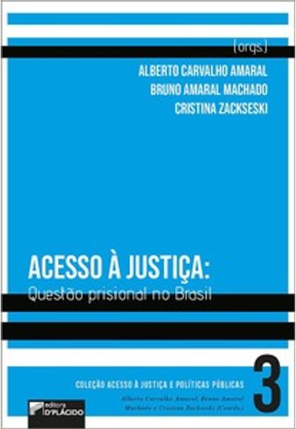 Acesso À Justiça: Questão Prisional no Brasil