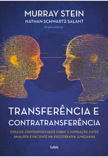 Transferência e Contratransferência - Nova Edição: Ensaios Contemporâneos sobre a Interação Entre Analista e Paciente na Psicoterapia Junguiana
