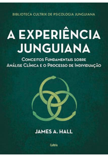 A Experiência Junguiana: Conceitos Fundamentais sobre Análise Clínica e o Processo de Individuação