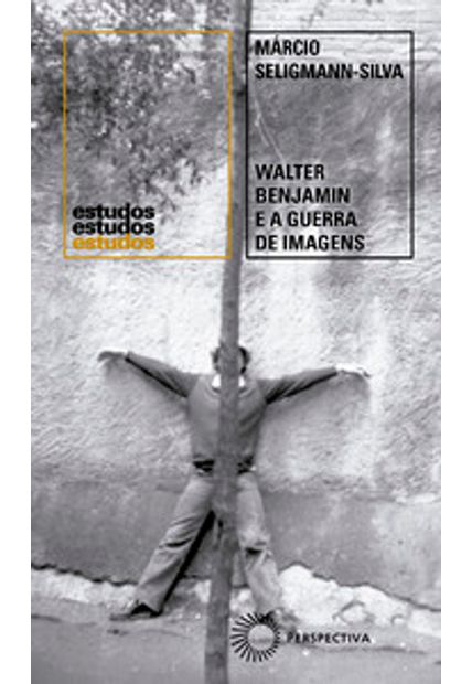 Walter Benjamin e a Guerra de Imagens