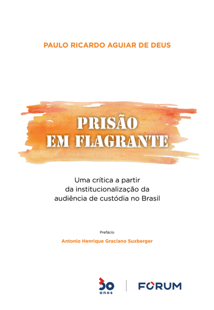 Prisão em Flagrante: Uma Crítica a Partir da Institucionalização da Audiência de Custódia no Brasil
