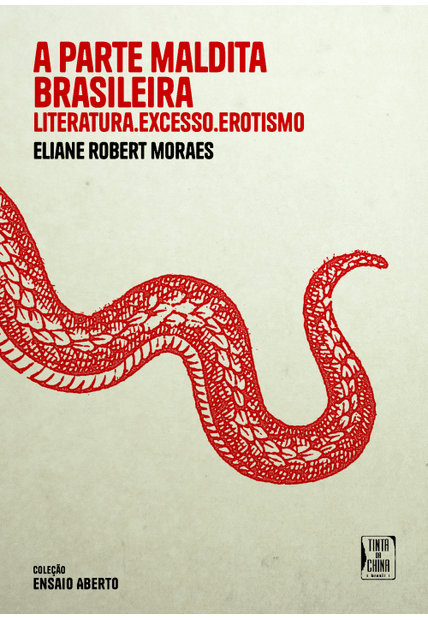 A Parte Maldita Brasileira: Literatura, Excesso, Erotismo