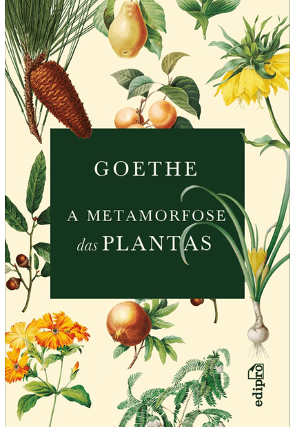 Goethe - a Metamorfose das Plantas