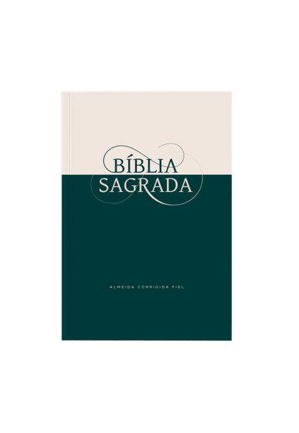 Bíblia Sagrada Acf, Brochura, Miolo Econômico, Clássica