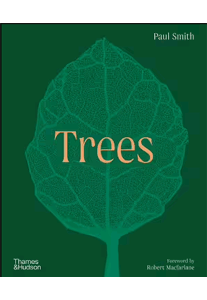 Trees: From Root To Leaf