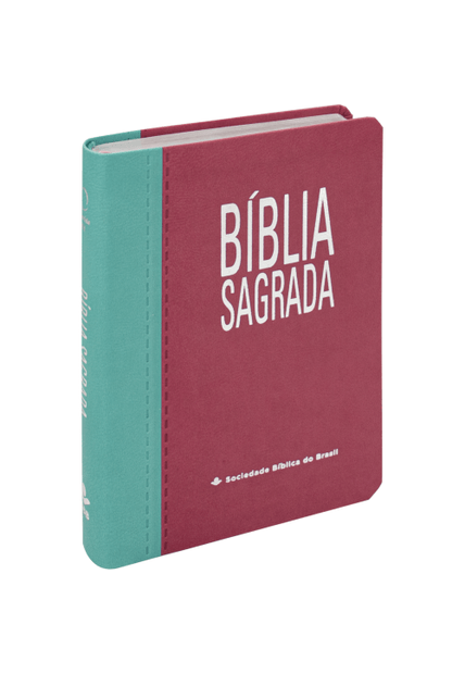Bíblia Sagrada Naa Letra Gigante: Nova Almeida Atualizada (Naa)